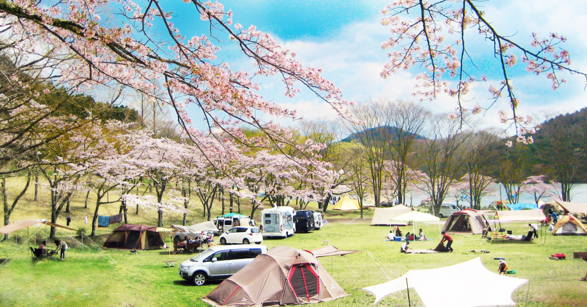 春キャンプの風景