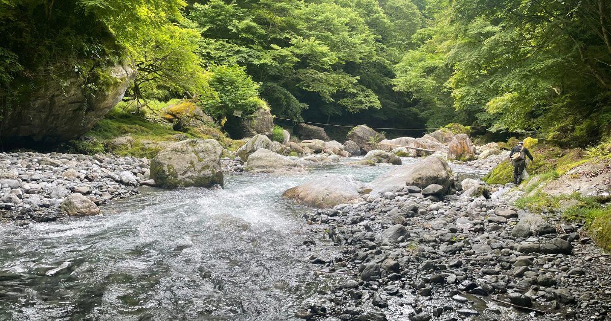 下流のリッチゾーンの風景