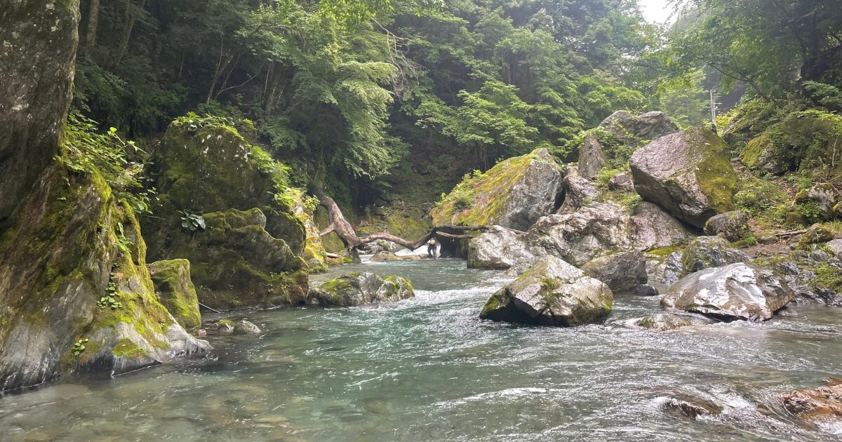 上流エリアの風景