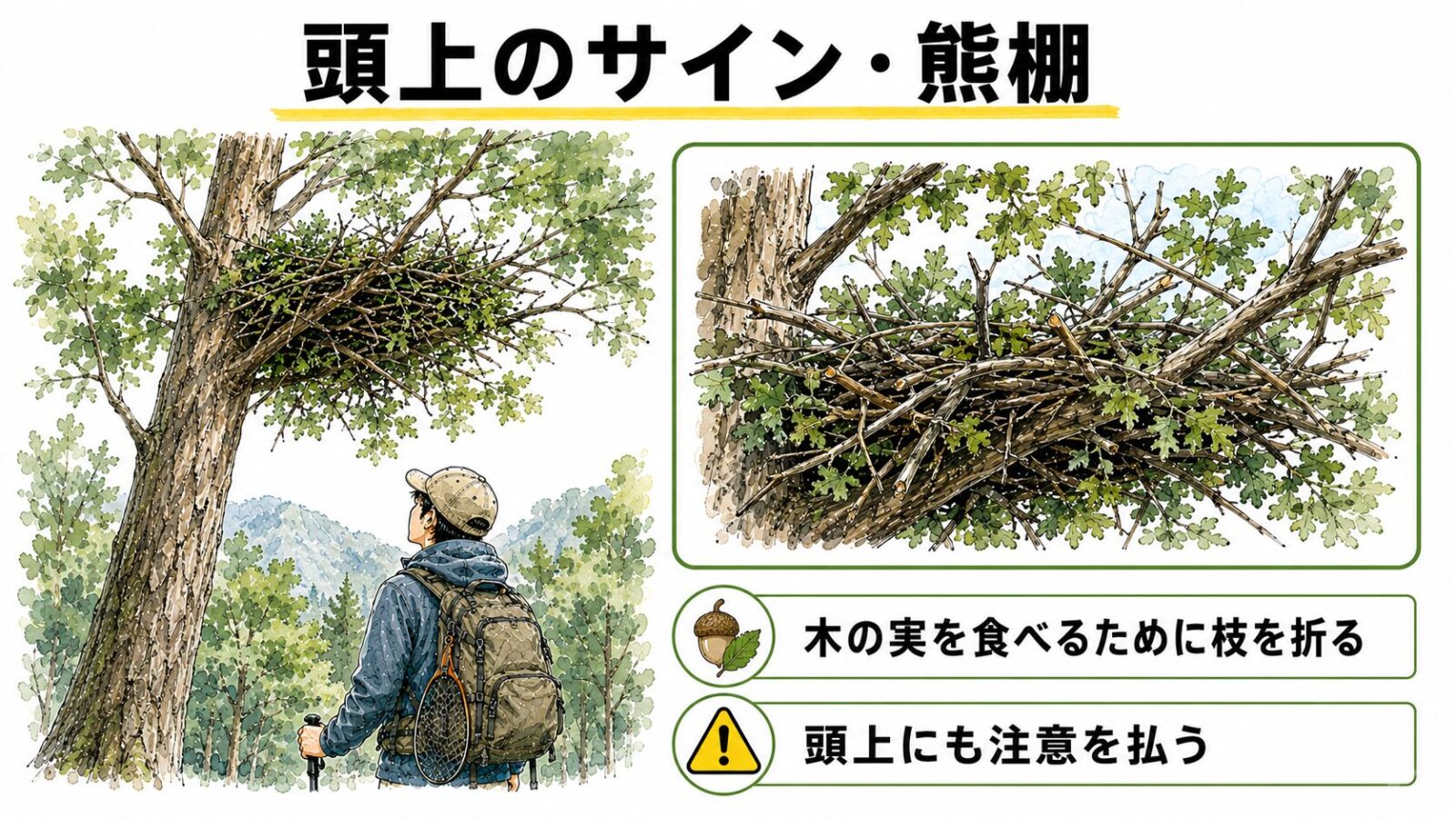 熊棚の図解