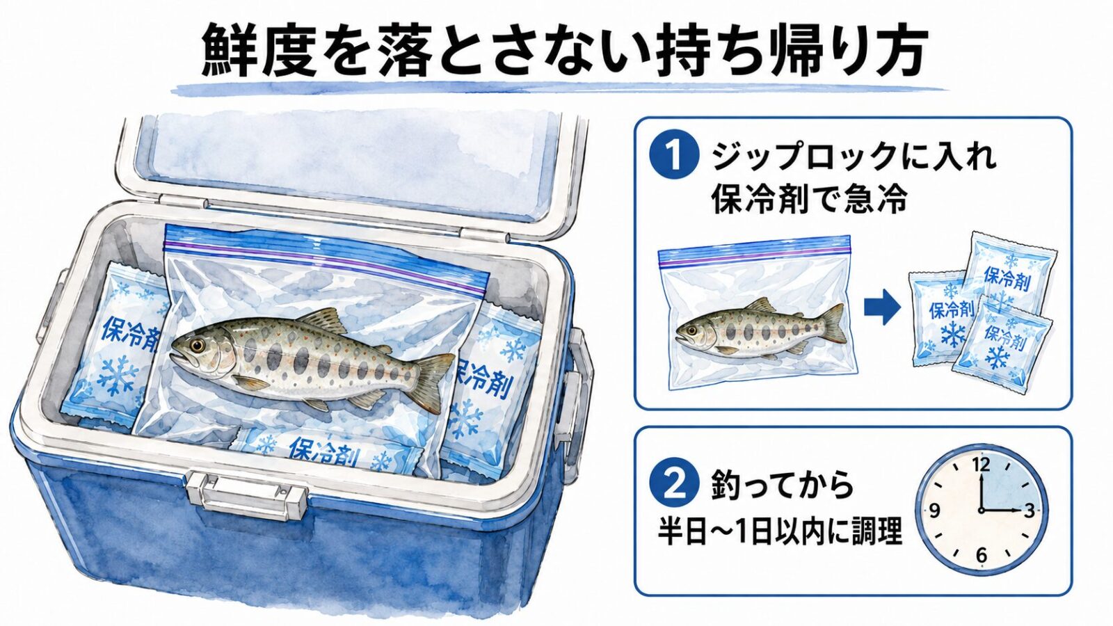 鮮度を保つ持ち帰り方の図解
