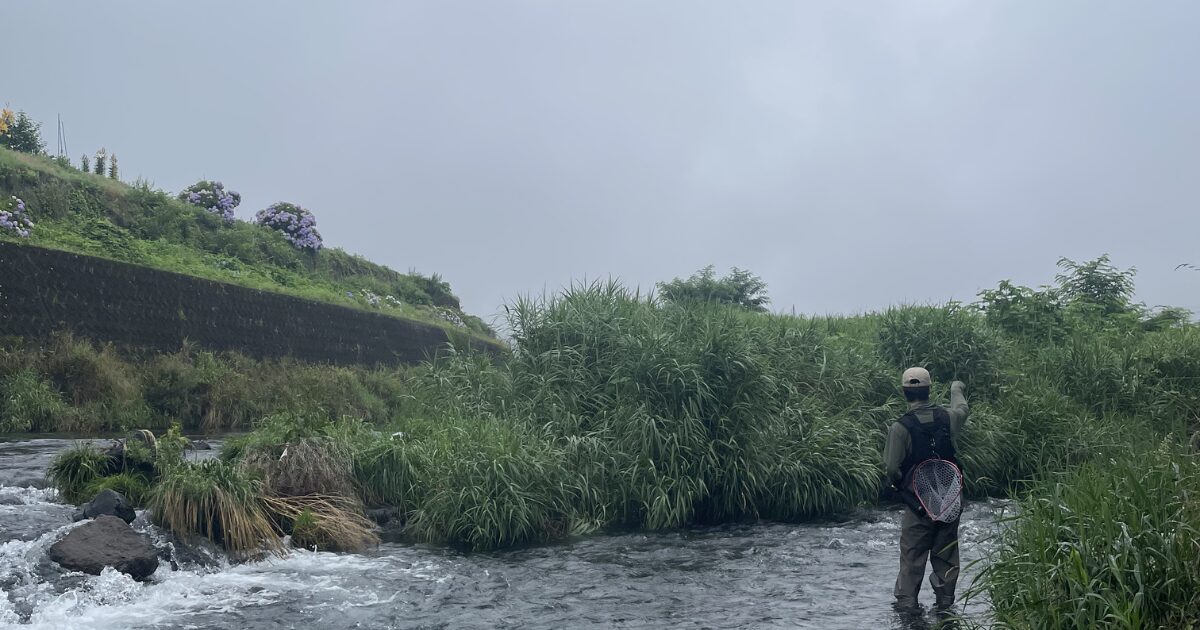 桂川公園からの渓流釣り風景
