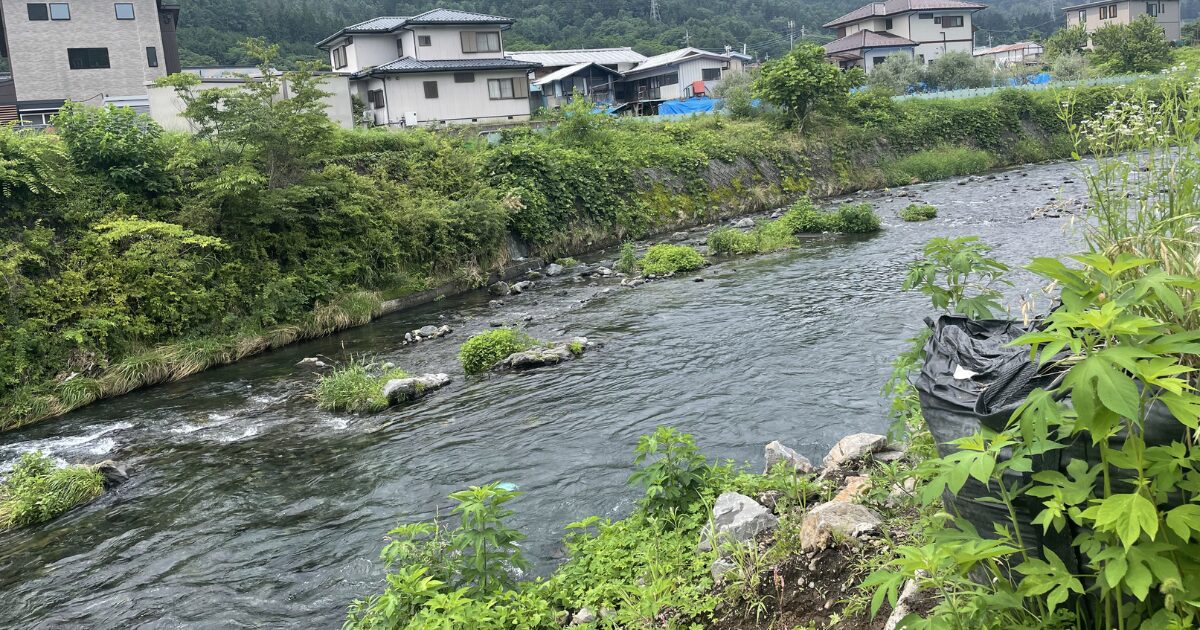 桂川本流の移動先のポイント