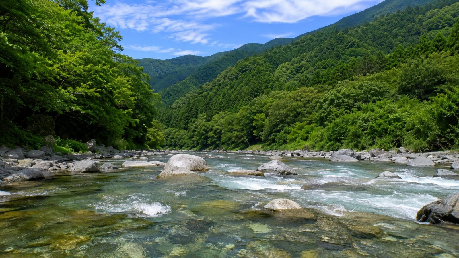 多摩川本流の渓相