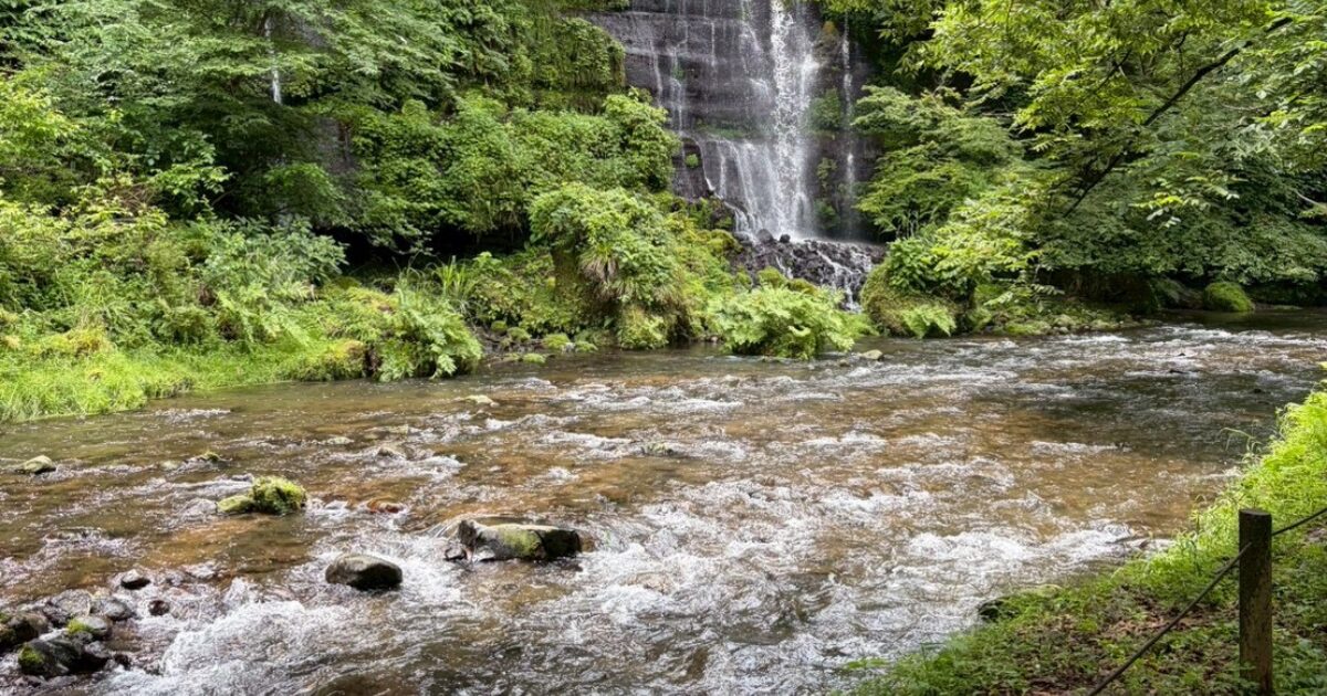 陽が差し込んできた美しい柄杓流川の景色